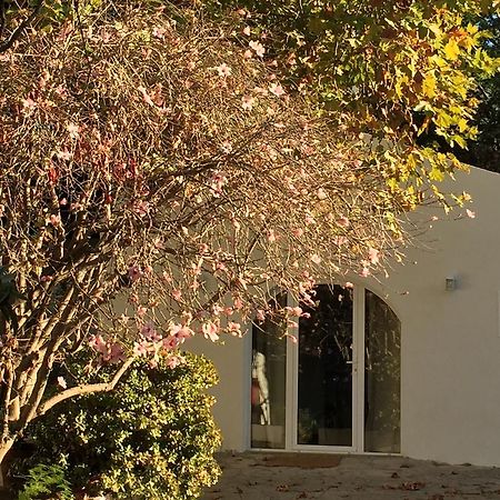 Вилла Casa Do Hibisco Сан-Жуан-ду-Эшторил Экстерьер фото